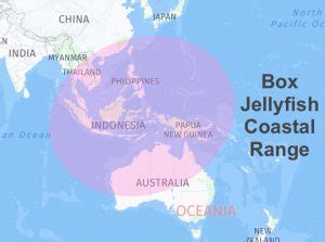 box jellyfish range distribution|most poisonous jellyfish.